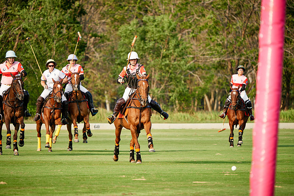 THAI-PINK-POLO-2019_DJ_2861