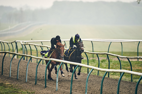 NEWMARKET-GALLOPS-24nd-APRIL-DJ-0237