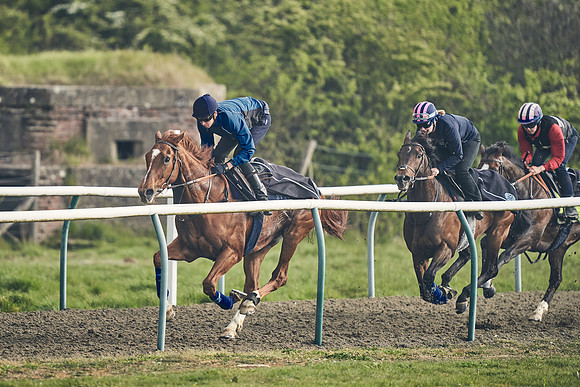 NEWMARKET-GALLOPS-24nd-APRIL-DJ-0551