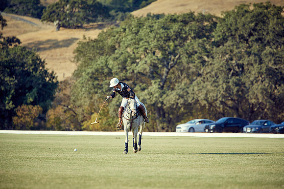 Oyster Cup Polo tournament