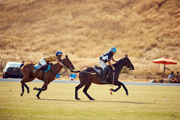 Oyster Cup Polo tournament