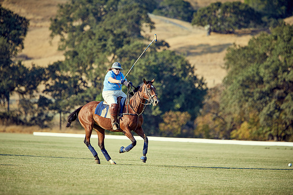 Oyster Cup Polo tournament