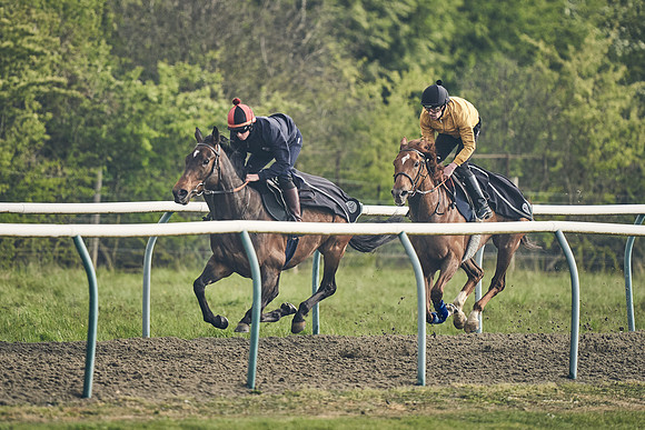 NEWMARKET-GALLOPS-24nd-APRIL-DJ-0573
