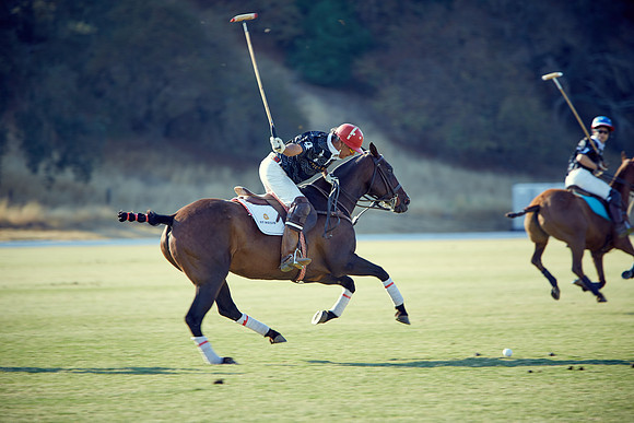 Oyster Cup Polo tournament