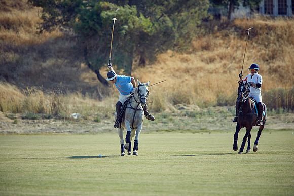 Oyster Cup Polo tournament