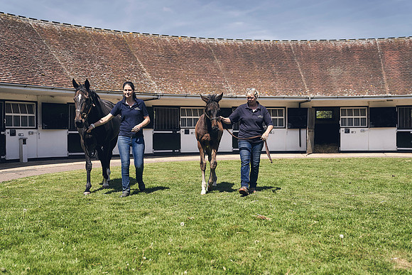 The-National-Stud-Dominic-James_DJ_4346