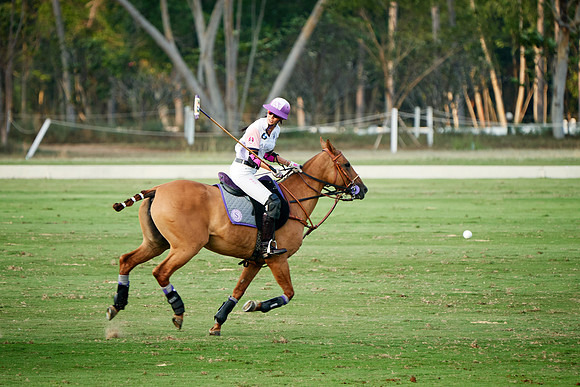 THAI-PINK-POLO-2019_DJ_3297