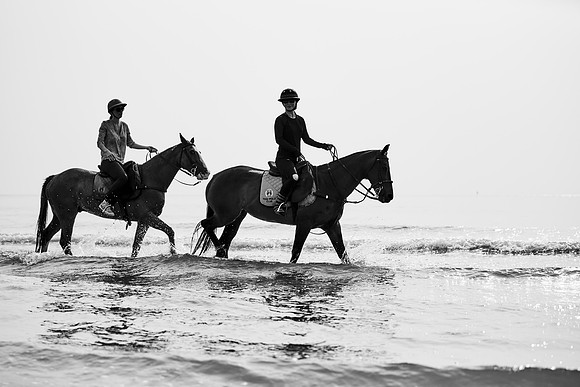 _DSC1625.ARW