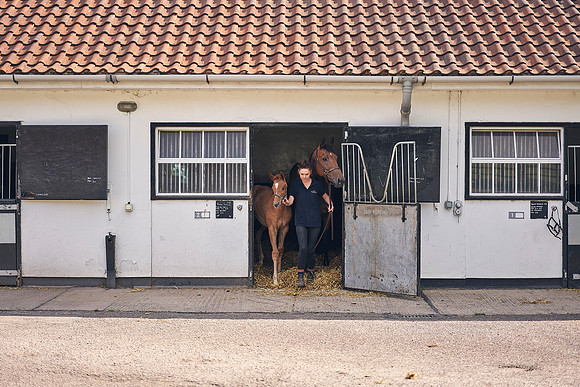 The-National-Stud-Dominic-James_DOM9514