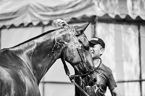 _DSC1960.ARW