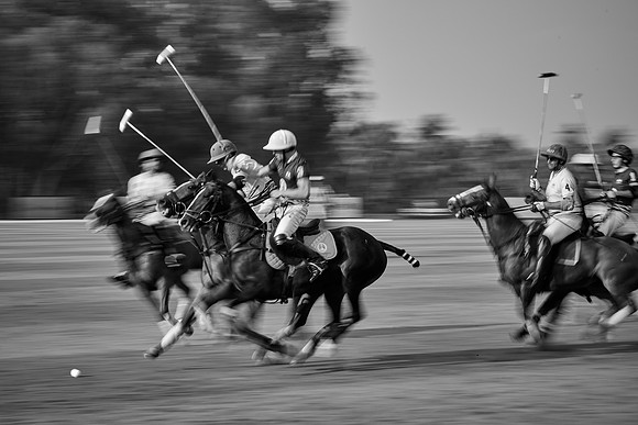 THAI-POLO-OPEN-2019_DJ_0475