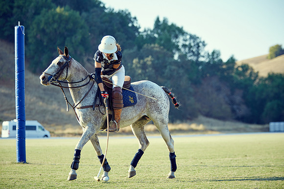Oyster Cup Polo tournament