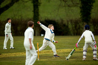 20130411-cricket-AG3A6693