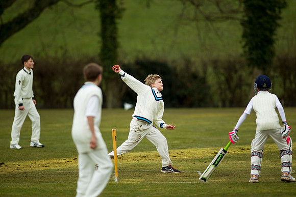20130411-cricket-AG3A6693