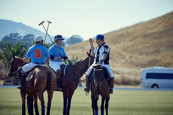 Oyster Cup Polo tournament