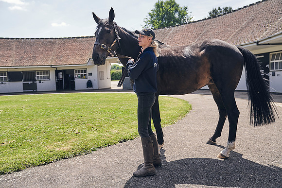 The-National-Stud-Dominic-James_DJ_4512