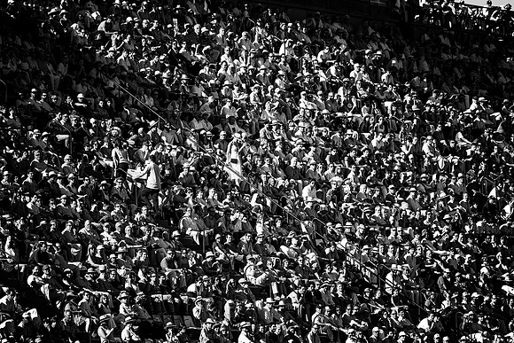 © Dominic James www.dominic-james.com