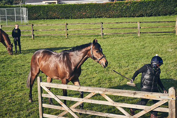 GEORGE-BOUGHEY-RACING-DJ-1332