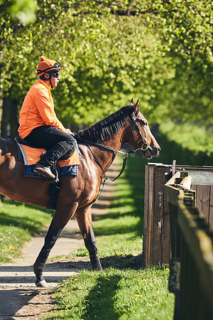 NEWMARKET-GALLOPS-22nd-APRIL-DJ-3963