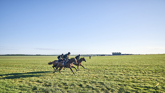 SUMMER GALLOPS-2nd-May-DJ-1163
