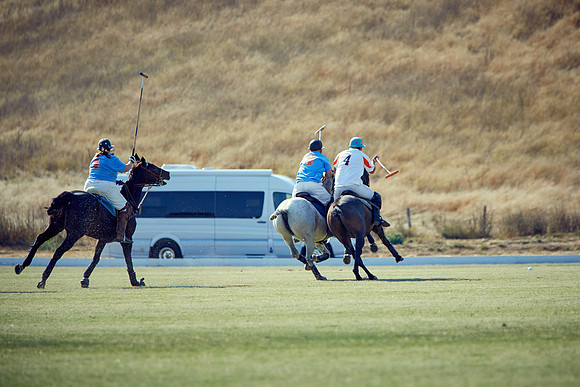 Oyster Cup Polo tournament