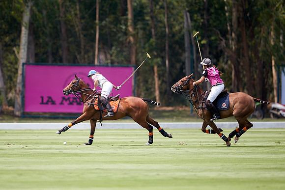 AQ1Y4316.CR2