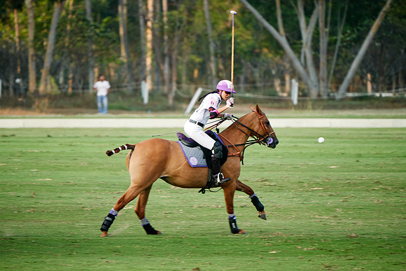 THAI-PINK-POLO-2019_DJ_3295