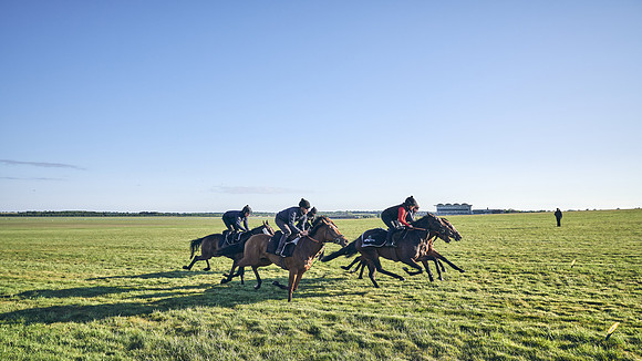 SUMMER GALLOPS-2nd-May-DJ-1395