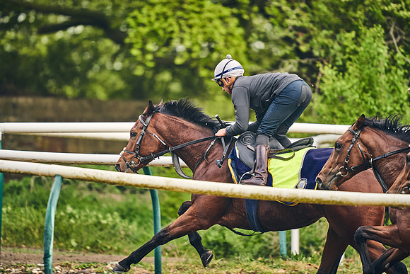 NEWMARKET-GALLOPS-24nd-APRIL-DJ-0463