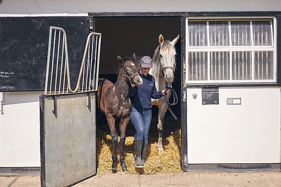 The-National-Stud-Dominic-James_DOM9458