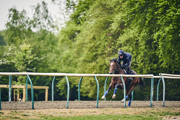 NEWMARKET-GALLOPS-25th-APRIL-DJ-0053