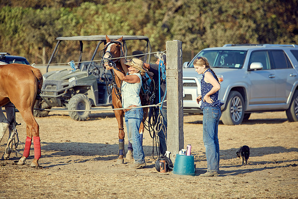 Oyster Cup Polo tournament