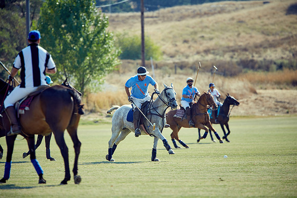 Oyster Cup Polo tournament