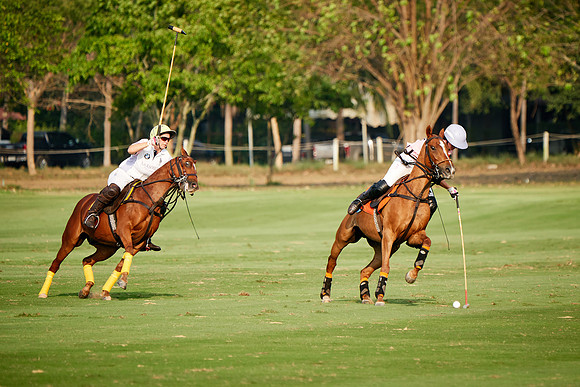 THAI-PINK-POLO-2019_DJ_2844