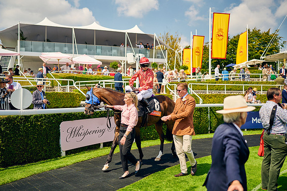 QGF2024_DominicJames_14509