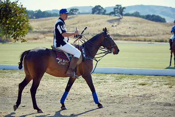 Oyster Cup Polo tournament