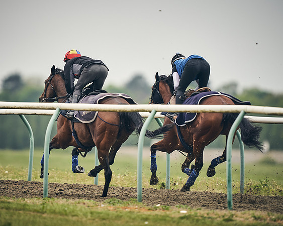 NEWMARKET-GALLOPS-25th-APRIL-DJ-0045