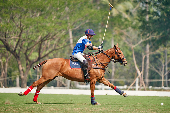 THAI-POLO-OPEN-2020-01-17-Dominic-James_DJ97941.ARW2291