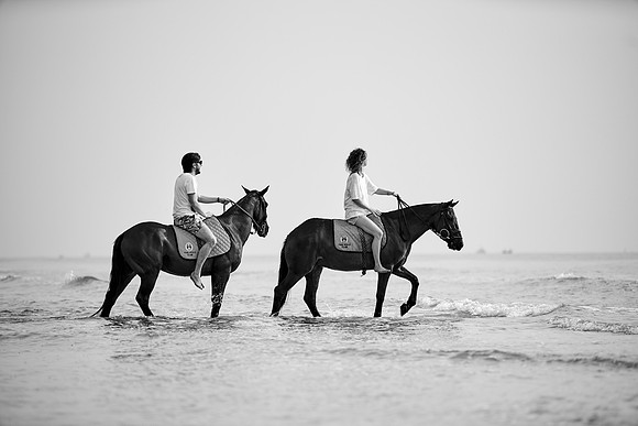 _DSC1528.ARW