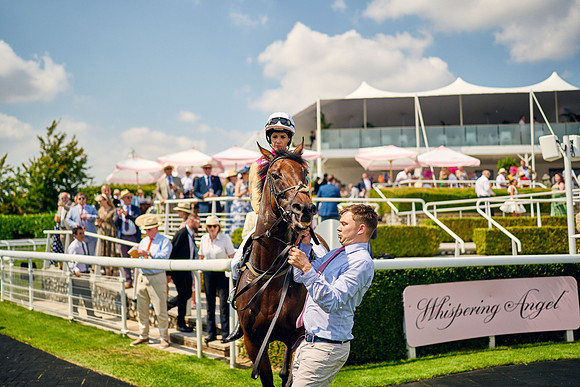 QGF2024_DominicJames_14450