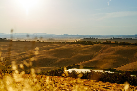 Siena