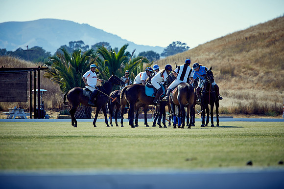 Oyster Cup Polo tournament