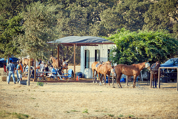 Oyster Cup Polo tournament