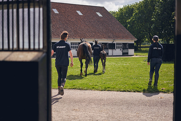 The-National-Stud-Dominic-James_DOM9452