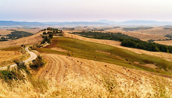 Siena