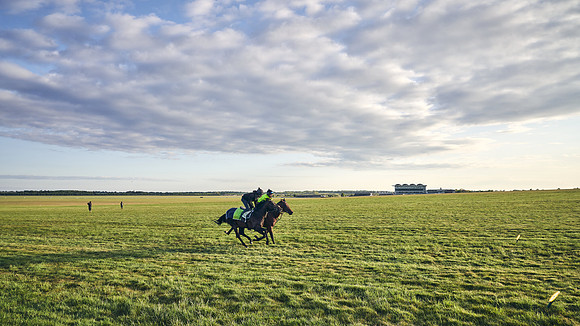 SUMMER GALLOPS-2nd-May-DJ-0614