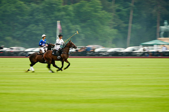 DSC08194.ARW