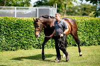 NS 2025 STALLIONS LOPE-0002