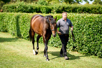 NS 2025 STALLIONS LOPE-0010
