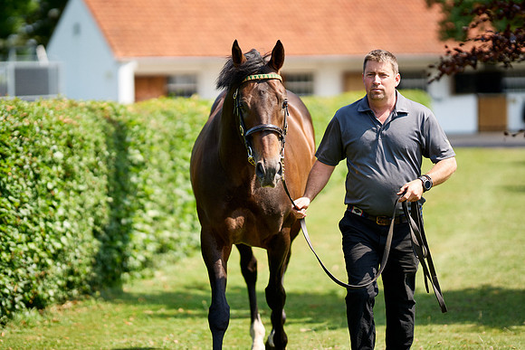 NS 2025 STALLIONS LOPE-0045
